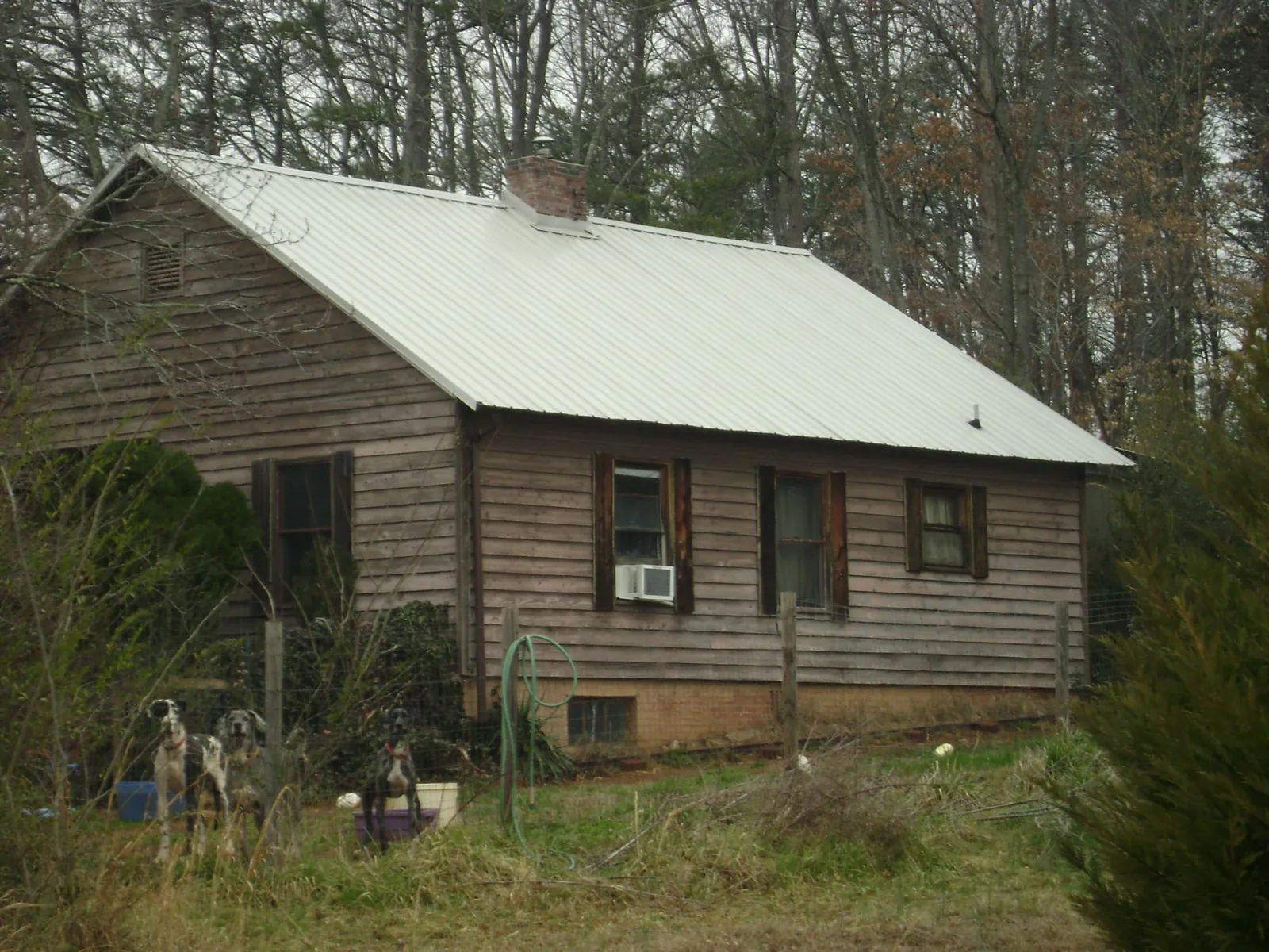 White metal roof on an old wood sided farmhouse, from a Asphalt Shingle Roof Repair job in Craigville